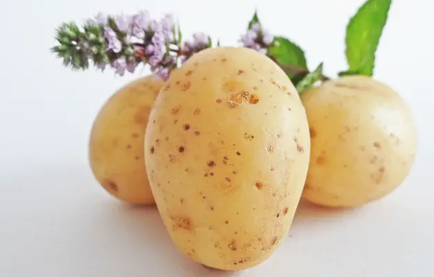 De gezonde werking van aardappelsap