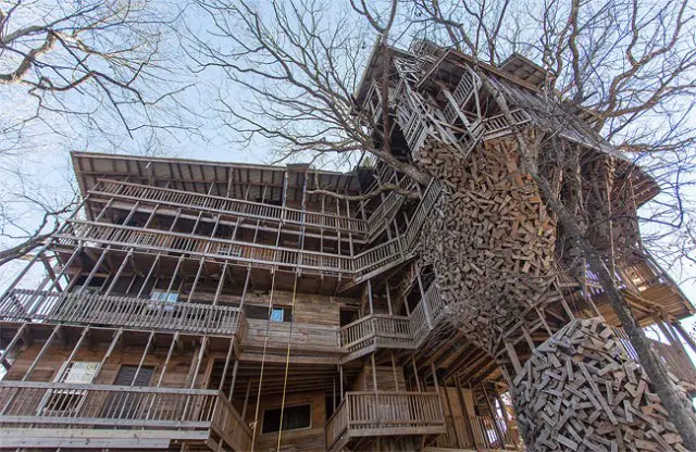 Inside-the-Worlds-Biggest-Tree-House13-640x416